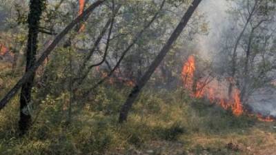 Požar ob cesti Glinca