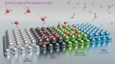(NATURE CATALYSIS/WWW.NATURE.COM)