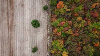 Slovenski referendum o pomoči pri končanju življenja odpira vrsto vprašanj (FOTODAMJ@N)