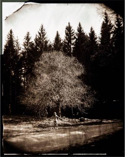 Delo slovenskega umetnika Boruta Peterlina