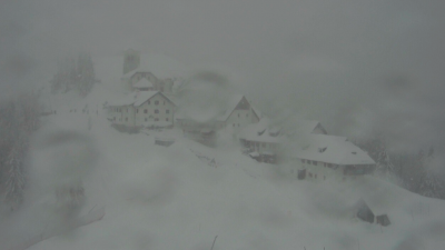 Snežinke na spletni kameri pričajo o razmerah na Višarjah (BERGFEX)