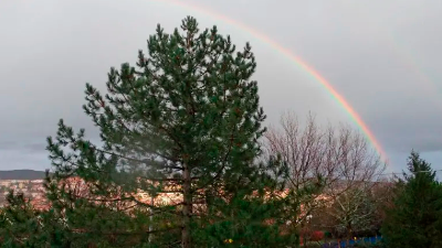 Mavrica (ARHIV/FOTODAM@N)