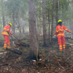 Prostovoljca na delu ob kolesarski stezi med Trebčami in Orlekom