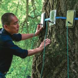 Tihi prijatelj, delo nagrajene madžarske režiserke, je filmski triptih (TSFF)