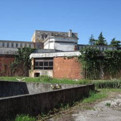 Nekdanji zavod Filzi (FOTO PDK)