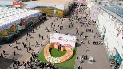 Vinitaly, arhiv (VINITALY)