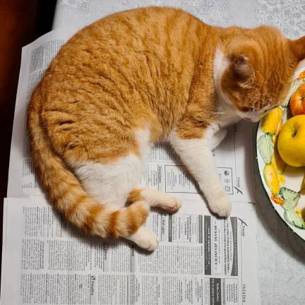 Fotoutrip ‘20 - september