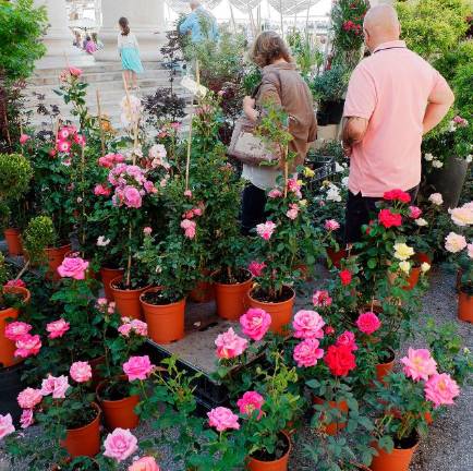 Vrnil se je sejem Trieste in Fiore
