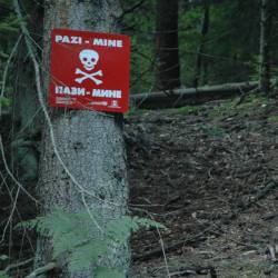 Od leta 1996 je bilo v eksplozijah protipehotnih min skupno ranjenih 650 ljudi, več kot 200 jih je umrlo