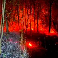 Požar med Tržičem in Štivanom pogasili