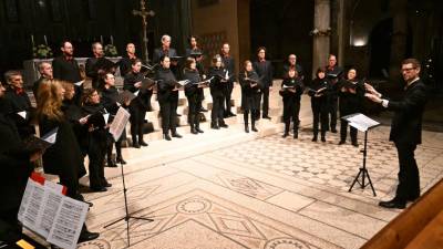 Dežela FJK hoče z zadnjim sklepom podpreti zborovsko dejavnost (FOTODAMJ@N)