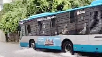 Avtobus je kljuboval meteornim vodam