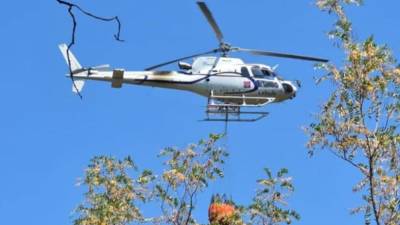 Na nebu nad Repnom in Colom se je danes zjutraj vnovično pojavil helikopter