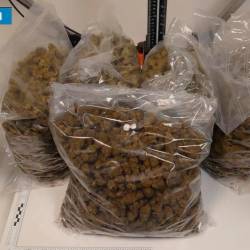 Zaseženo mamilo (POLICIJA)