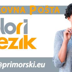 Kaj storiti, če prevoda ne najdemo nikjer?