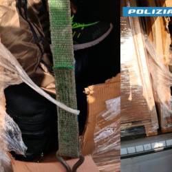 Migrante so skrivali za kartonastimi škatlami (POLICIJA)