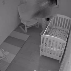 Kradli so tudi v otroških sobah (KARABINJERJI)