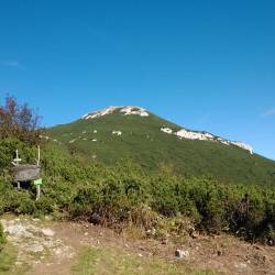 Pogled na Snežnik
