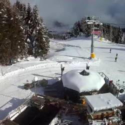 Zoncolan danes ob 13. uri (SPLETNA KAMERA WHAT’SUP CAMS)