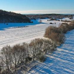 Pobeljena Gročana 12. decembra 2022 (FOTODAMJ@N)