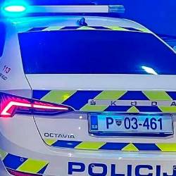 Zasledovanje koprskih policistov se je začelo na avtocesti med Razdrtim in Senožečami, zaključilo pa skupaj z italijanskimi kolegi v Trstu, fotografija je simboličn (ARHIV)