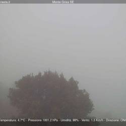 Pogled na Tržaški zaliv, na Kraški planoti je nastala megla (SPLETNA KAMERA CISAR)