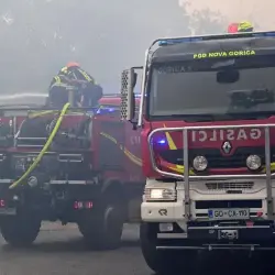 Arhivski posnetek gašenja požarov na Krasu