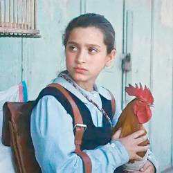 Odisejada za pripravo torte