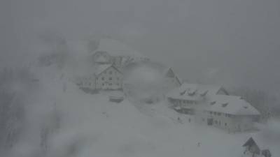 Na Višarjah je malo pred 16. uro močno snežilo in so beležili -1,7 stopinje Celzija (SPLETNA KAMERA PROMOTURISMO.FVG)