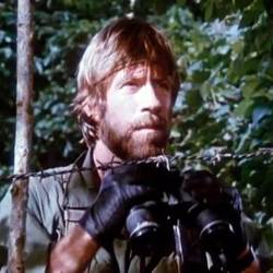 Chuck Norris (ANSA)