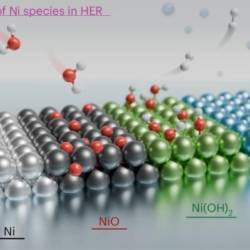 (NATURE CATALYSIS/WWW.NATURE.COM)