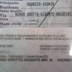 Na papirnatem dokumentu je pisalo Briščiki (zgoraj), na elektronski izkaznici pa piše le »bri«