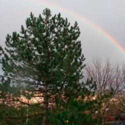 Mavrica (ARHIV/FOTODAM@N)