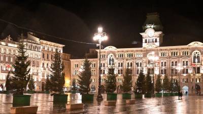 Božična drevesa na Velikem trgu so letos iz Bosne (FOTODAMJ@N)