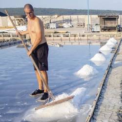 Prizadevajo si pridelati čim več soli, saj povpraševanje na trgu obstaja (TOMAŽ PRIMOŽIČ/FPA)