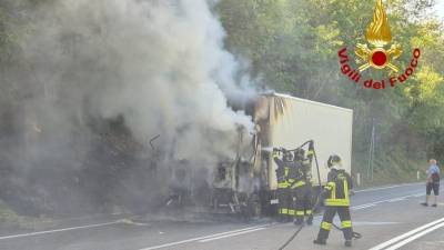 Ogenj je zajel zadnji del vozila in se razširil nad rastje ob cesti