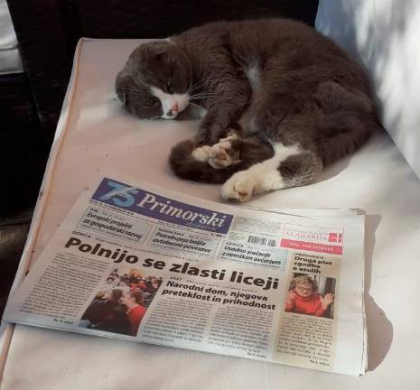 Fotoutrip ‘20 - februar