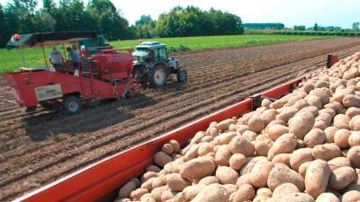 Novim okoliščinam se morajo prilagajati tudi pridelovalci krompirja (Copropà)