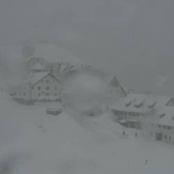 Na Višarjah je malo pred 16. uro močno snežilo in so beležili -1,7 stopinje Celzija (SPLETNA KAMERA PROMOTURISMO.FVG)