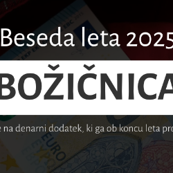 Beseda leta 2025 je bila božičnica (ZAJEM ZASLONA)