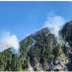 Pogled na pogorišče
