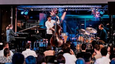 Petru Smrdelu so nepridipravi iz avtomobila ukradli za 5000 evrov glasbene opreme (ARHIV ZASEDBE MIND TREE/PRIMORSKE NOVICE)