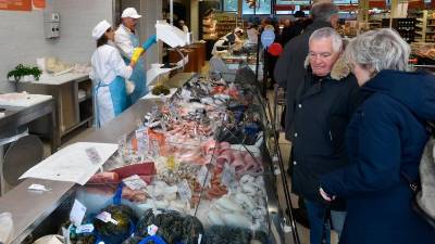 Jadranskim ribam in morskim sadežem so zaradi podnebnih sprememb šteti dnevi (ARHIV)