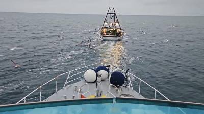 V sklopu operacije Fish Net so pripadniki Luške kapitanije preverjali tudi delovanje ribičev