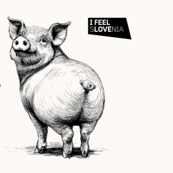 Festival Od repa do glave