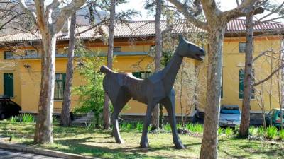 Konj Marco, simbol Basagliove revolucije, v parku bivše umobolnice (ARHIV)
