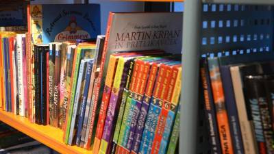 Polica z otroškimi in mladinskimi knjigami, fotografija je simbolična (FOTODAMJ@N)