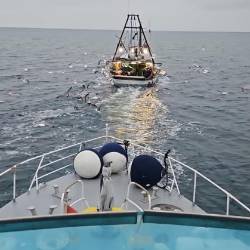 V sklopu operacije Fish Net so pripadniki Luške kapitanije preverjali tudi delovanje ribičev