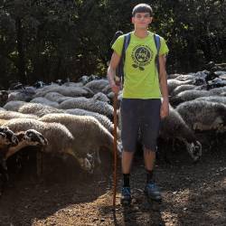 19-letnmi Matej Tavčar vsak dan na pašo vodi več kot 180 glav drobnice