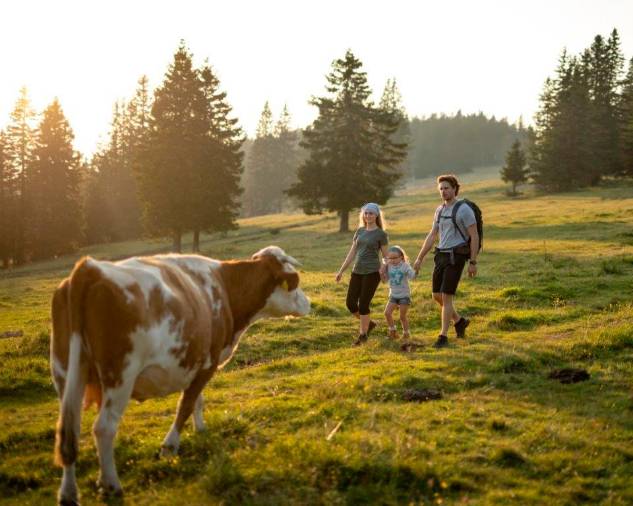 Nepozabne počitnice na Zreškem pohorju